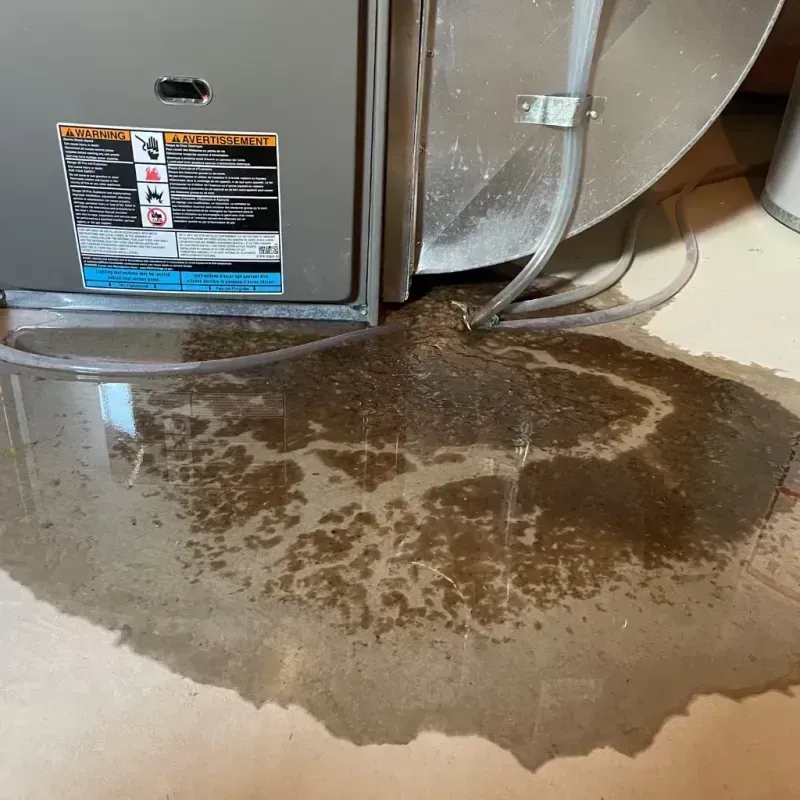 Appliance Leak Cleanup in Miamitown, OH